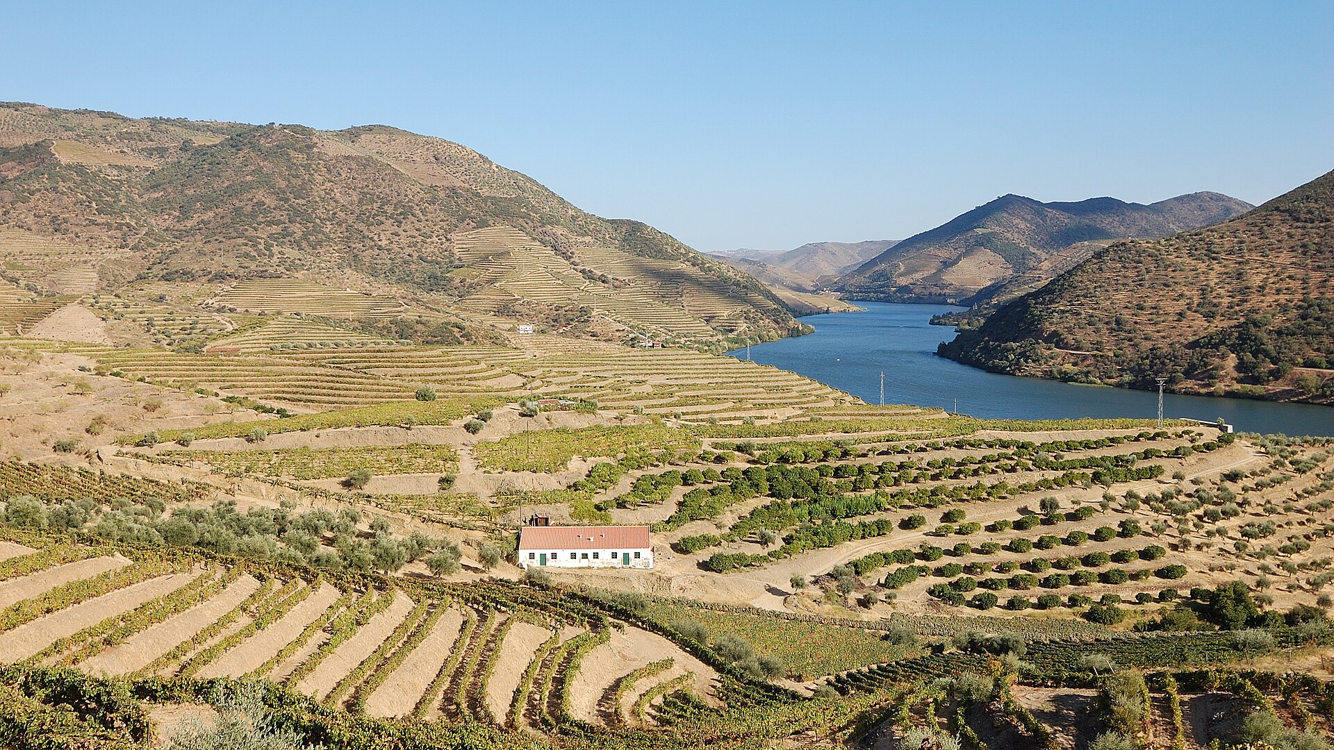 Tarasowe winnice nad rzeką Douro w Portugalii