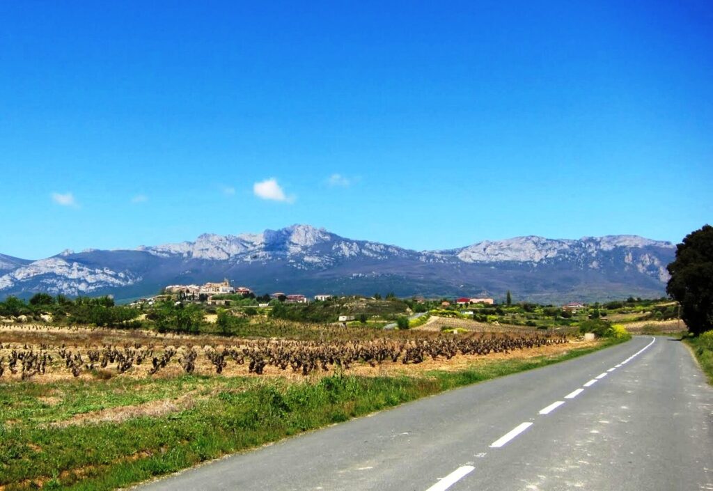 Winnice w Rioja z górami w tle
