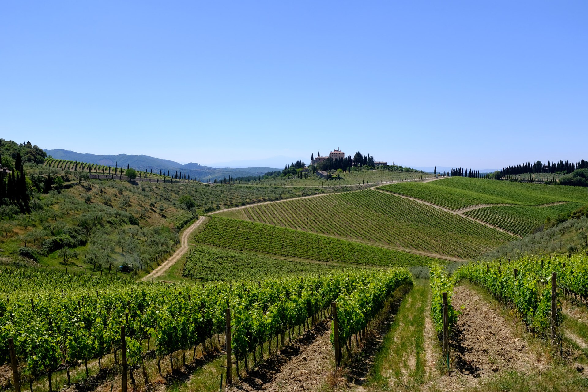 Winnice i wzgórza w regionie Chianti w Toskanii